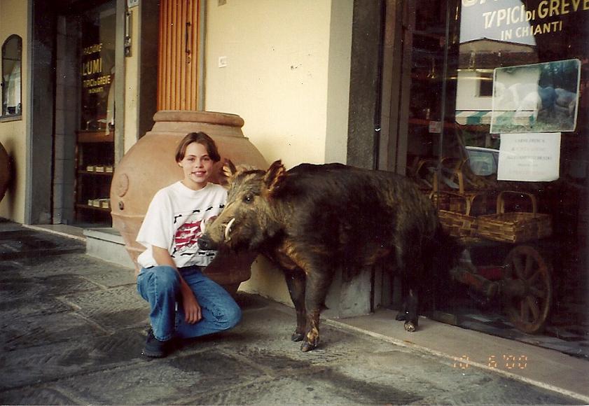 Wild Boar